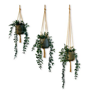 Voordeelset van 3 Plantenhangers - Okergeel - 60, 80, en, Ophalen of Verzenden, Nieuw