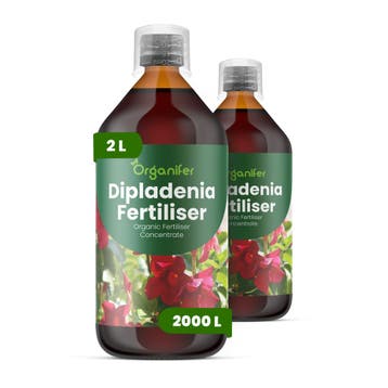 Dipladenia Vloeibare Meststof - 2x1 liter, Verzenden, Mest