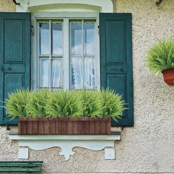 Kunstplant Boston Varen - UV-bestendig - Decoratie voor Binn, Huis en Inrichting, Kamerplanten, Verzenden