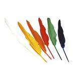 Set van 12x indianen verkleed veren - Decoratie veren, Verzenden, Nieuw