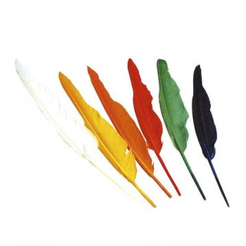 Set van 12x indianen verkleed veren - Decoratie veren, Verzenden, Nieuw
