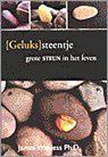 Gelukssteentje, Ophalen of Verzenden, Nieuw