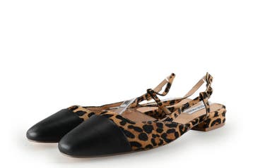 Steve Madden Ballerinas in maat 39 Panter, Overige kleuren, Verzenden, Steve Madden, Ballerina's