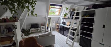 Te huur: Kamer Eekwal in Zwolle