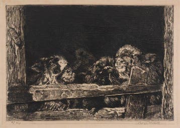 Willem Hendrik van der Nat (1864–1929) - Geitjes, Antiek en Kunst