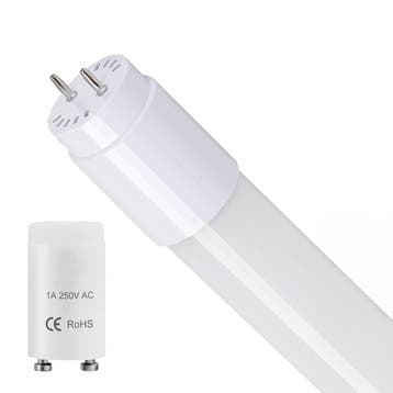 LED TL Buis - T8 G13 - Velvalux - 60cm - 8W 960lm - 865, Ophalen of Verzenden, Nieuw