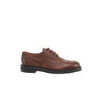 TESTONI - 8 UK - 42 IT - Camogli Brown Derby Shoes Soft, Nieuw