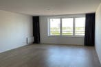 Studio Omegaplantsoen in Leiden, Minder dan 20 m², Leiden