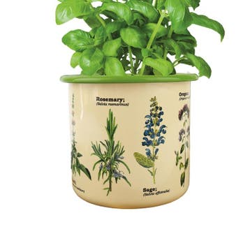 Gift Republic Kruiden - Emaille Bloempot (Gadgets), Verzenden, Nieuw
