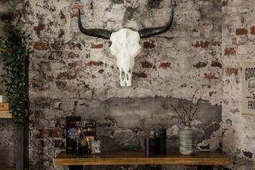 Imposante buffelschedel EL TORO 70cm natuurlijk massief, Ophalen of Verzenden, Nieuw