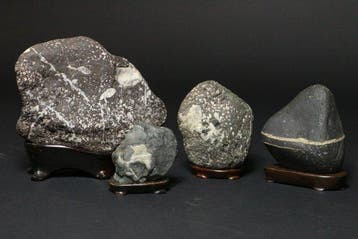 Steen, Hout - Suiseki Viewing Stones – Set van 4 natuurlijke