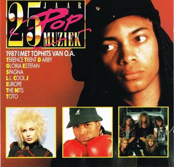 Various - 25 Jaar Popmuziek - 1987, Ophalen of Verzenden, Gebruikt
