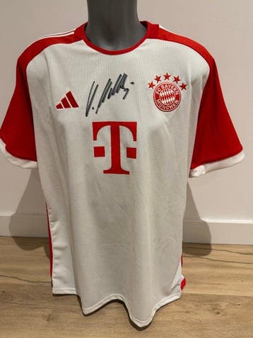 FC Bayern München - Duitse voetbal competitie - Lothar, Nieuw