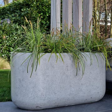 Odin  XXL 120x50x60 cm Grey, Tuin en Terras, Verzenden, Nieuw, Beton