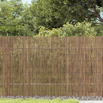 vidaXL Tuinscherm 1000x90 cm riet, Verzenden, Nieuw, Minder dan 1 meter