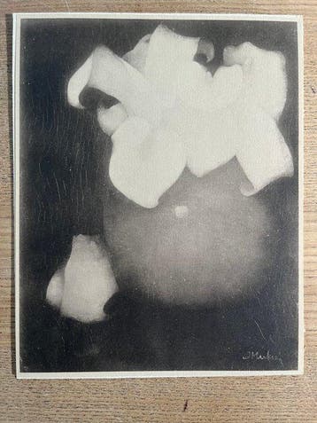 Jan Mankes (1889-1920) - Aronskelken, Antiek en Kunst