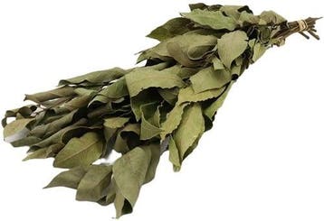 Laurier Laurierblad Groen Droogbloemen 80 cm, Ophalen of Verzenden, Nieuw
