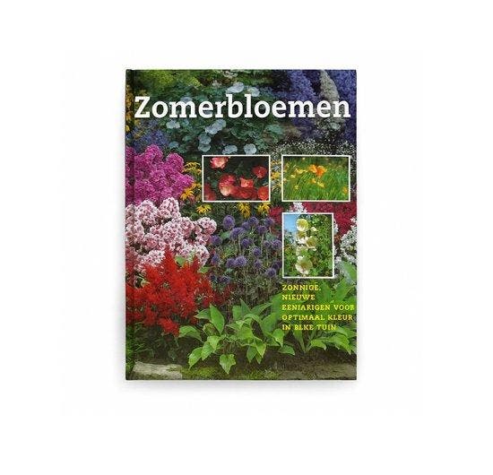 | Zomerbloemen - van Dk, Boeken, Overige Boeken, Gelezen, Verzenden