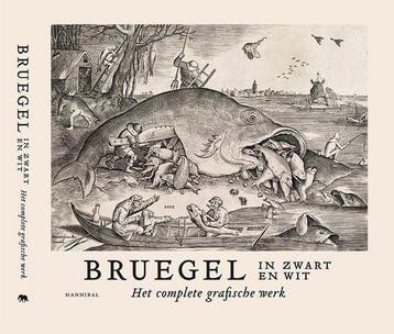 Boek Bruegel in zwart en wit 9789463887182, Verzenden, Zo goed als nieuw