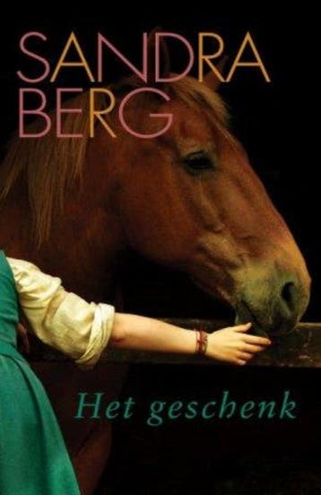 Het geschenk - Sandra Berg 9789059775268, Verzenden, Gelezen, Sandra Berg