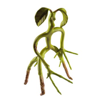Fantastic Beasts Bendable Figure Bowtruckle 18 cm, Ophalen of Verzenden, Nieuw
