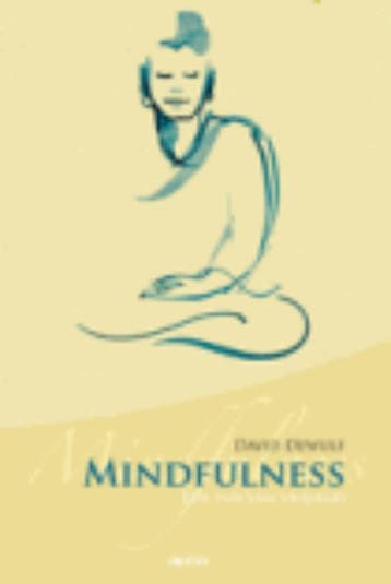 Mindfulness - David Dewulf 9789033475498, Boeken, Verzenden, Zo goed als nieuw, David Dewulf