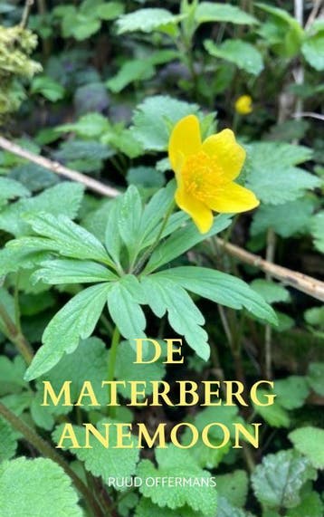 De Materberg Anemoon | Ruud Offermans | Nieuw, Ophalen of Verzenden, Nieuw, Ruud Offermans
