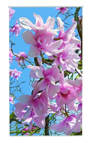 Magnolia Outdoor TextielPoster fotoprint 95x170cm, Tuin en Terras, Verzenden, Nieuw