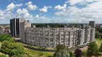 Te huur: Appartement Oostmaaslaan in Rotterdam, Appartement, Rotterdam, Zuid-Holland