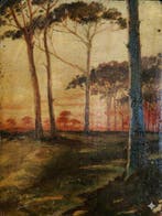 Nazzareno Sidoli (1879–1969) - Paesaggio, la Pineta al