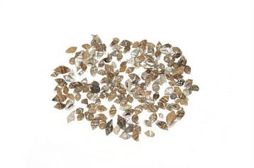 Nassa mix schelpen 1 kilo, Ophalen of Verzenden, Nieuw