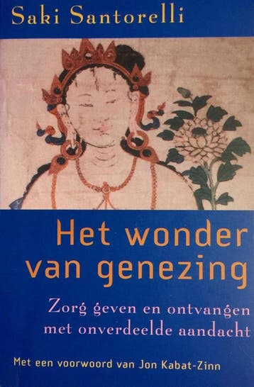 Het wonder van genezing - S. Santorelli 9789021596822, Verzenden, Gelezen, S. Santorelli