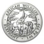 Zambia Olifant 1 oz 2003, Verzenden, Losse munt, Zilver