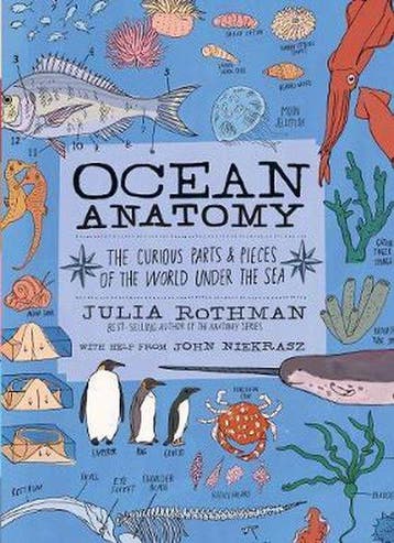 9781635861600 Ocean Anatomy Julia Rothman, Verzenden, Nieuw, Julia Rothman