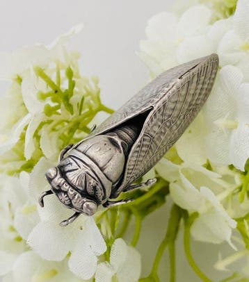 Cigale - Art Nouveau - Zilver - Frankrijk - (1900-1920) -, Antiek en Kunst