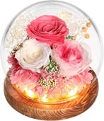 Eeuwige Roos Stolp | Kunstbloemen Tweedekansje | OP=OP, Ophalen of Verzenden