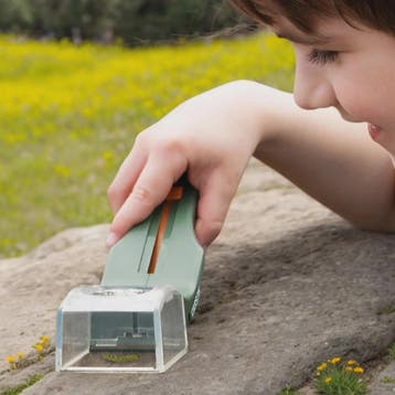 Insectenvanger met Vergrootglas: Veilig Vangen en Bekijken v