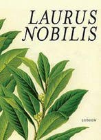 Laurus Nobilis, Ophalen of Verzenden, Nieuw