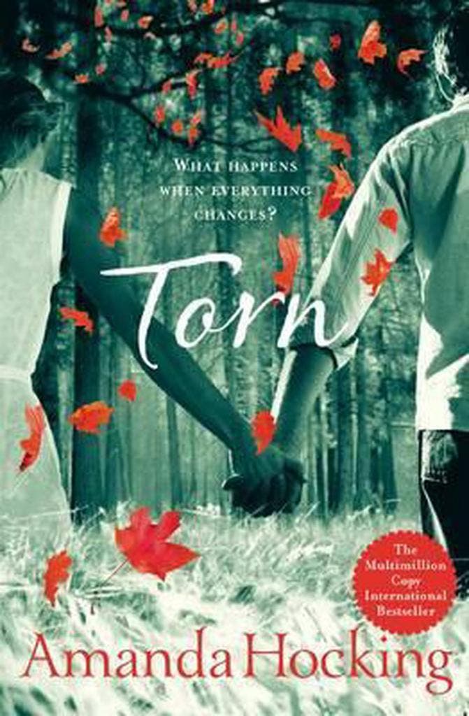 Torn - Amanda Hocking 9781447205708, Boeken, Taal | Engels, Gelezen, Verzenden