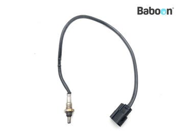 Lambda Sonde Harley-Davidson RA 1250 Pan America 2021-2024, Verzenden, Gebruikt