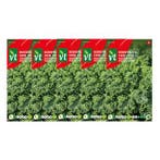 Boerenkool zaad | VT | 5 stuks, Verzenden