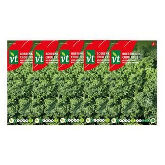 Boerenkool zaad | VT | 5 stuks, Tuin en Terras, Bloembollen en Zaden, Verzenden