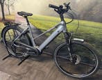 Falter E 6.0 500 – Nieuwe E-Bike - 45CM Kleine Framemaat, Overige merken, Nieuw, Ophalen of Verzenden, 51 tot 55 cm