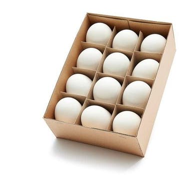 Ganzeneieren xl 8 cm leeggeblazen voor decoratie doos 12, Ophalen of Verzenden, Nieuw