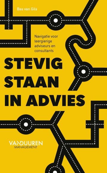 Stevig staan in advies - Bas van Gils 9789089656605, Verzenden, Zo goed als nieuw, Bas van Gils