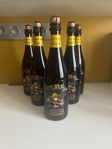 Brasserie Dubuisson - Cuvée des Trolls Triple - 75cl - 6, Nieuw