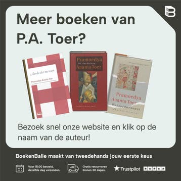 Meisje van het strand - P.A. Toer 9789052267661, Verzenden, Gelezen, P.A. Toer