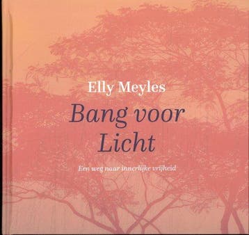 Bang voor licht - Elly Meyles 9789493288850, Verzenden, Zo goed als nieuw, Elly Meyles