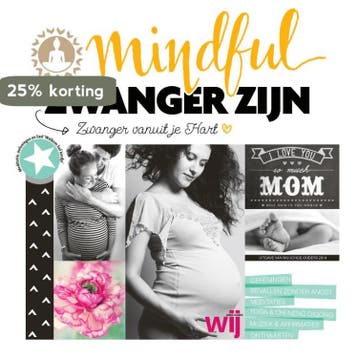 Mindful zwanger zijn 9789082250817 Anna van Amsterdam, Boeken, Verzenden, Gelezen, Anna van Amsterdam