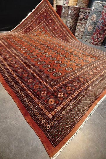 Buchara art deco - Tapijt - 380 cm - 294 cm, Nieuw